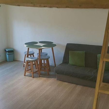 Apartmán Hyper-Centre 2 Lits Climatiseur Castres  Exteriér fotografie