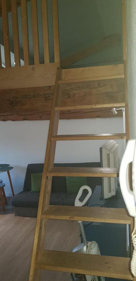 Apartmán Hyper-Centre 2 Lits Climatiseur Castres  Exteriér fotografie